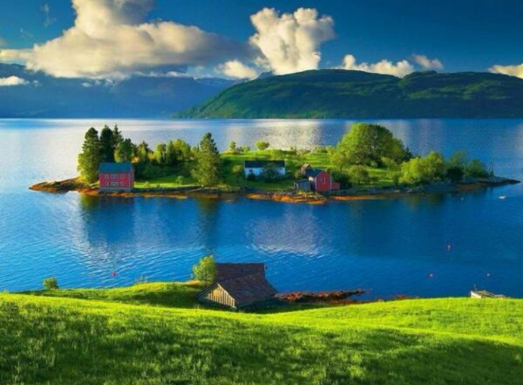 Gartenteiche in Groß und Klein - für ein Leben in der Natur